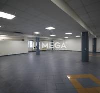 Spacious commercial spaces with blue tiled floors and ceiling lights.