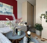 A cozy living room in a studio apartment with decorations, plants, and a painting on the wall.