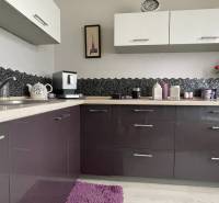 A kitchen unit with purple cabinets and black mosaic tiles in a studio apartment.