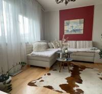 Living room in a one-room apartment with a red wall, a comfortable sofa, and plants.