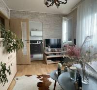 Living room in a studio apartment with furniture, plants, and an animal skin patterned rug.
