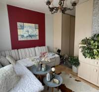 Living area of a studio apartment with a sofa, shelves, and plants.