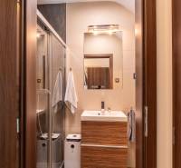 A bathroom in a family house with wooden furniture and a shower corner.