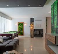 Living room in a family house with a billiard table, fireplace, and plant decoration.