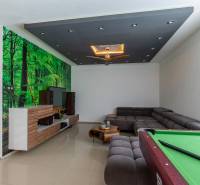 Living room with a forest wallpaper, a billiard table, and a large corner sofa in a family house.