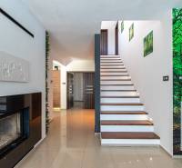 Interior of a family house with a staircase, fireplace, and decorations with a nature motif.