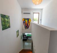 A staircase in a family house with a colorful picture of an elephant and wall decorations.