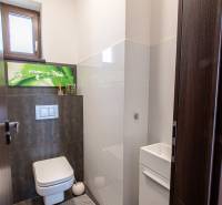 A toilet in a family house with a window, a picture, and stylish tiling.
