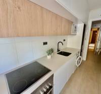 A narrow kitchen with a cooktop, washing machine, and wood-paneled cabinets in a vacation apartment.