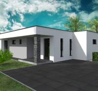 A minimalist building with a flat roof and terrace, Western Slovakia, House construction.