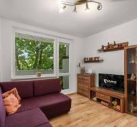 Living room in a three-room apartment with a purple sofa, wooden floor, and furniture.