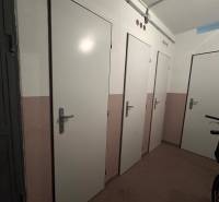 The door in the basement of a 3-room apartment, neutral walls, storage spaces.