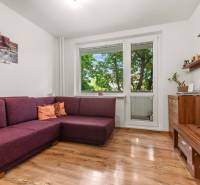 Living room with a purple sofa and TV in a 3-room apartment, large window with a view of greenery.