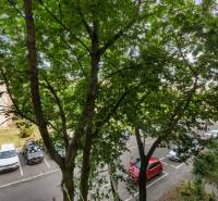 Trees in Senec on Bratislavská Street, view from a 3-room apartment of parked cars.