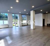 Spacious offices with laminate flooring, white walls, and large windows.