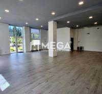 Spacious offices with large windows and wooden flooring.