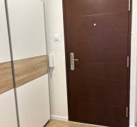 Entrance door in a 1-room apartment with a wardrobe and intercom on light tiles.