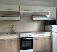 A kitchen with wooden cabinets, a stove, and a microwave in a studio apartment.