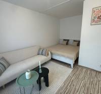 A studio apartment with a sofa, bed, and a decorative painting on the wall.