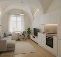 Interior of a 1-room apartment with a vaulted ceiling, kitchen unit, and cozy furniture.