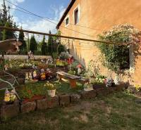 A garden by the house with gnomes, plants, and a swing in Kremnica.