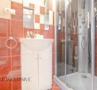 Bathrooms in hotels and guesthouses with red tiles and a shower enclosure.