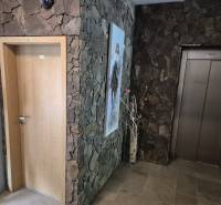 Entrance area with an elevator and wooden doors in a 1-room apartment.