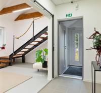 Interior of an office with a wooden staircase and a decorative plant at the entrance.