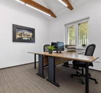 Offices with a wooden desk, a shelf with plants, and a picture of a city on the wall.
