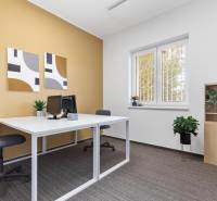 Offices with simple furniture, a computer, plants, and modern art on the wall.