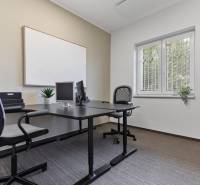Offices with two desks, computers, and a plant in a white room.