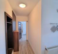 A hallway in a 2-room apartment with wooden flooring and hanging coat racks.
