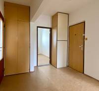 A hallway in a 3-room apartment with built-in wardrobes and doors to another room.
