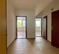 A hallway in a 3-room apartment with wooden doors and a view of greenery.