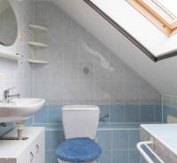 A bathroom in a family house with a sink, toilet, and skylight.