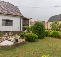 The garden of a family house in Rovinka with ornamental plants and a flower bed.