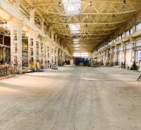 Industrial interior with high ceiling and steel construction. Warehouses and halls.