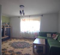 Living room with a carpet, green sofa, and wall cabinet in a family house.