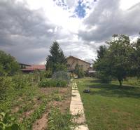 The garden at the family house on Športová Street in Brodské with landscaping and greenery.