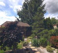 Garden area with a gazebo and diverse vegetation at a family house on Športová Street in Brodské.