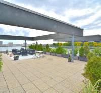 Spacious terrace with seating and greenery on the roof of a 4-room apartment on Pri vinohradoch in Rača.