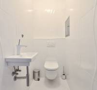 A toilet with a wall-mounted WC and a sink in a 4-room apartment.