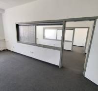 Interior view of empty offices with glass partitions and carpet.