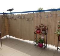 Balcony of a 3-room apartment with decorative lights and plants, Bratislava - Podunajské Biskupice, Kazanská.