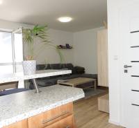 Interior of a 3-room apartment with a sofa, coffee table, and a plant on the kitchen counter.
