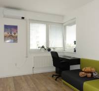 A room with a desk, chair, sofa, turtle, and air conditioning in a 3-room apartment.