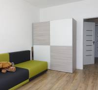 A room in a 3-room apartment with a sofa, a wardrobe, and a plush turtle on the floor.