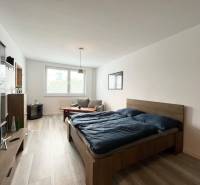 A bright room with a wooden bed, a sofa, and a window, furnished as part of a studio apartment.