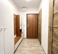 Hallway in a one-room apartment with wooden doors and built-in furniture.