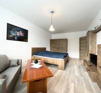Living room in a one-bedroom apartment with furniture and a painting on the wall.